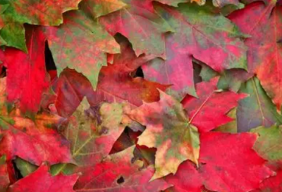 ​五行带金的字有哪些