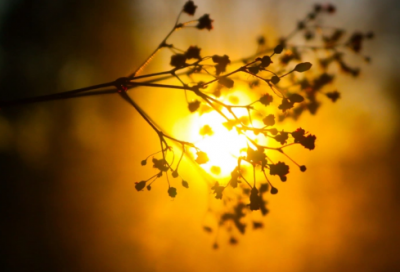 ​商业素养演讲稿范文