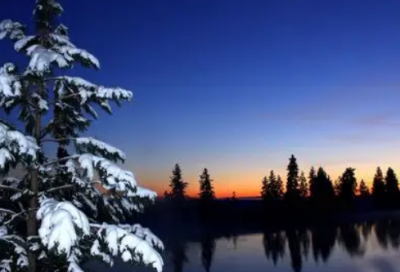 ​语文专业求职信