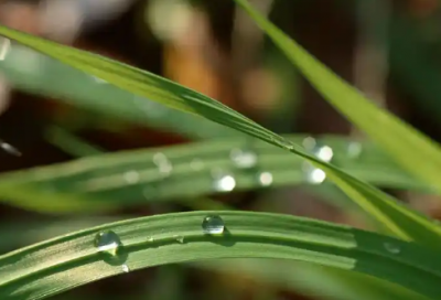 ​爱情打油诗73句