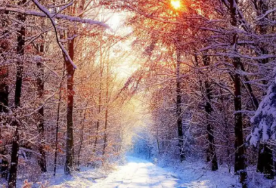 ​答辩申请书范文