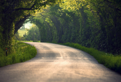 ​利他演讲稿范文