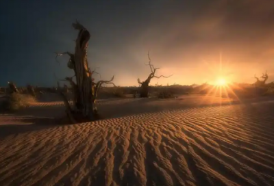 ​励志正能量的古文精选42句