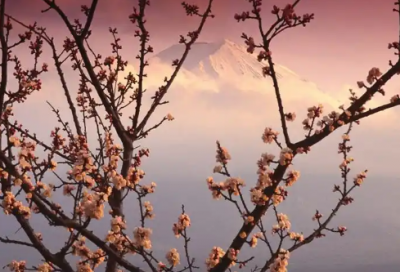 ​广告宣传语【优选69句】