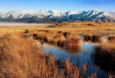 ​成熟内涵微信网名男精选67个