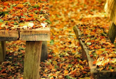 ​维修申请书范文