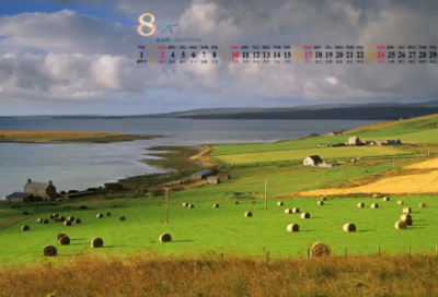 ​鸟的拼音优选37句