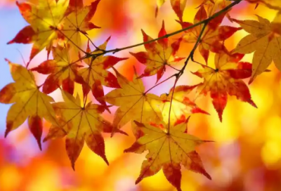 ​吃饭顺口溜大全爆笑天才