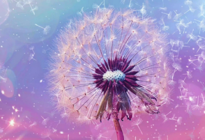 ​求职信质检专业