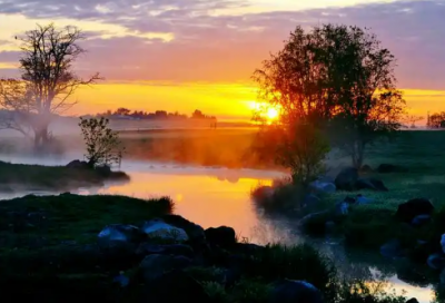 ​曾用名申请书范文