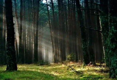 ​中药学专业医院求职信范文