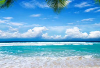 ​雀怎么组词【34句精选】