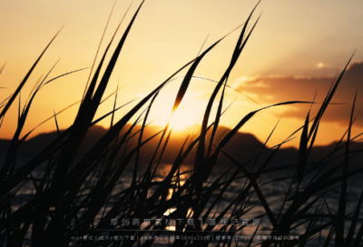 ​感慨万千的意思31句