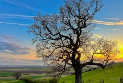 ​公租房申请书范文大全