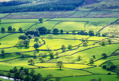 ​半城烟雨一生寒47句