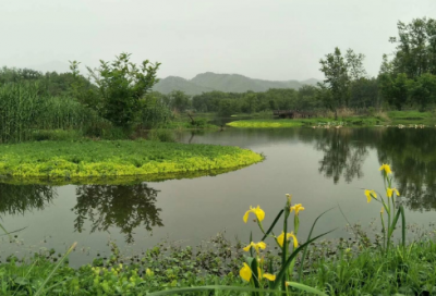 ​你是爱我的20句