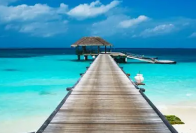 ​玉米演讲稿范文