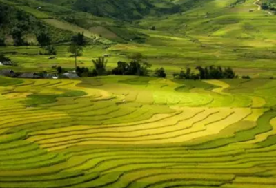 ​辣妈辣妹女主角优选22句