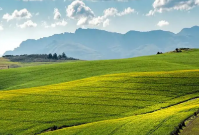 ​话剧惊雷精选56句