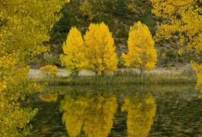 ​送清凉精选26句