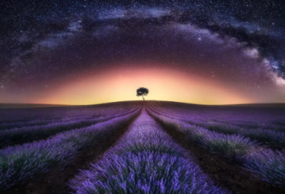 ​土地纠纷申请书范文