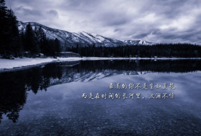 ​卖花优选34句