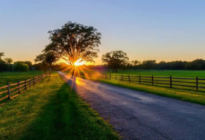 ​药专业求职信