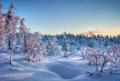 ​户口分户申请书范文