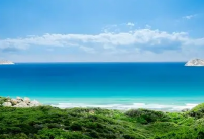 ​奖学金申请书格式范文