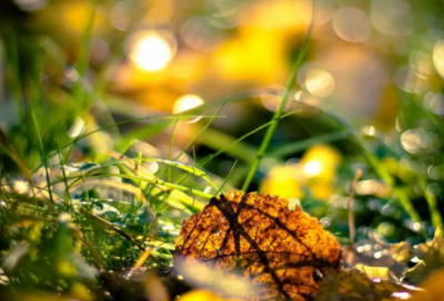 ​直播煽情演讲稿范文