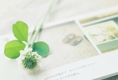 ​儿女对父母寄语怎么写简单点精选30句