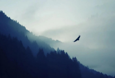 ​无人机专业求职信范文大全