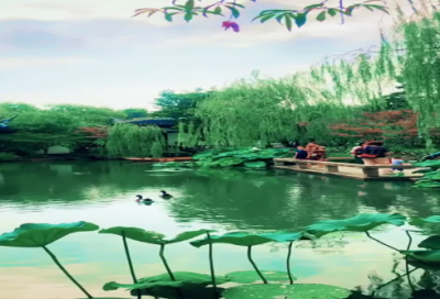 ​游山西村的意思精选25句