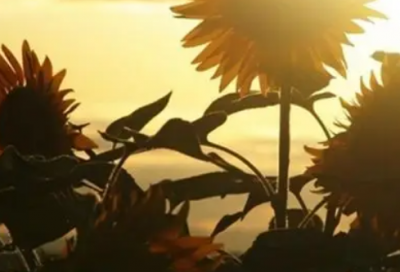 ​qq网名设计在线生成器优选汇总37个