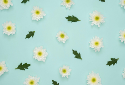 ​员工保险申请书范文