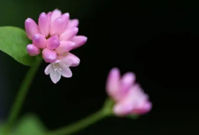 ​寒假通知书家长寄语精选29句