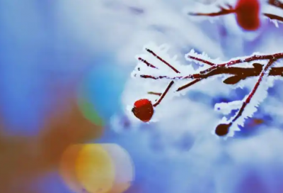 ​贫困申请书格式范文模板