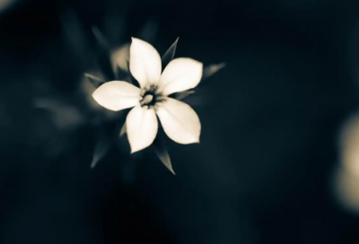 ​抗诉申请书优秀范文