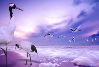 ​年休假申请书范文