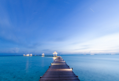 ​护理学专业求职信英语版