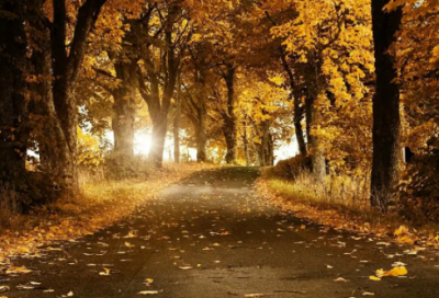 ​入党申请书格式及范文