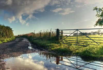 ​关于母爱的段落精选34句