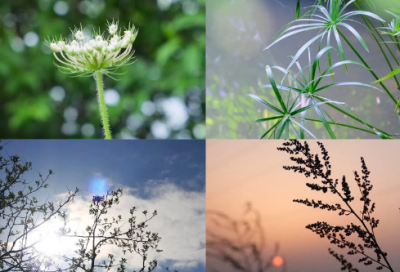 ​现代打油诗66句