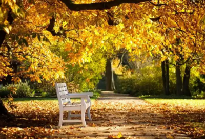 ​居民低保申请书范文