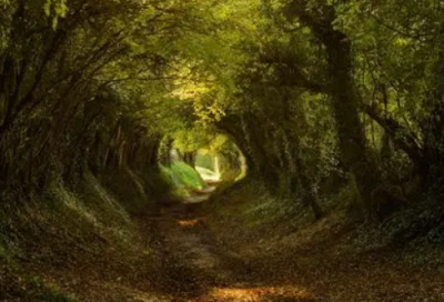 ​写给家人的安全寄语-69句