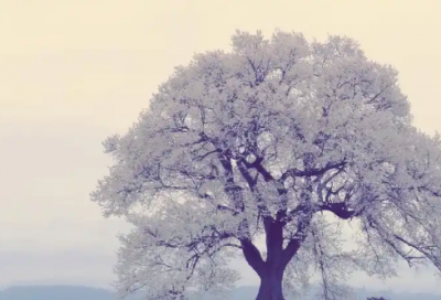 ​社会经验优选28句