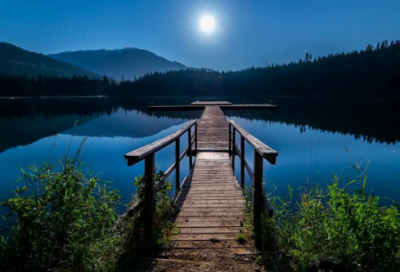 ​中药学专业个人求职信范文