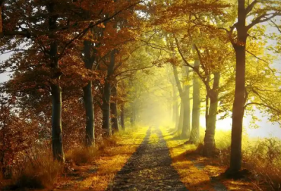 ​元宵节日记150字六年级