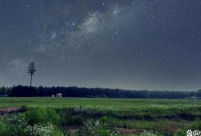 ​教师节300字日记