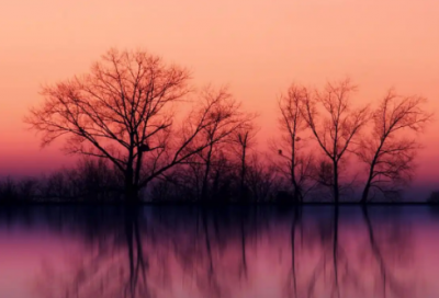 ​关于婚外情人思念寄语